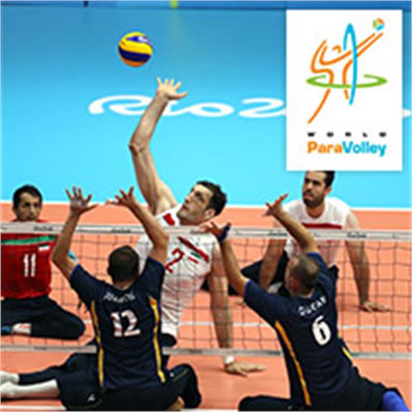 والیبال نشسته