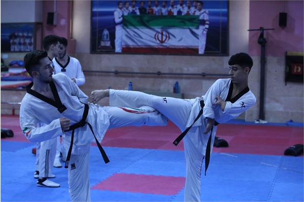 پاراتکواندو  10