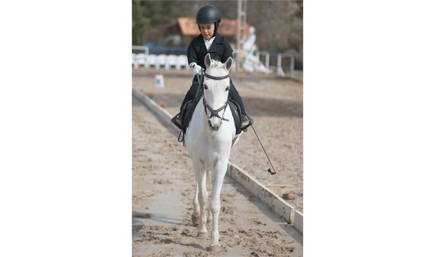 قهرمانی کشور سوارکاری  9