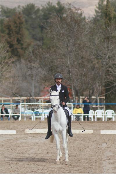 قهرمانی کشور سوارکاری  4