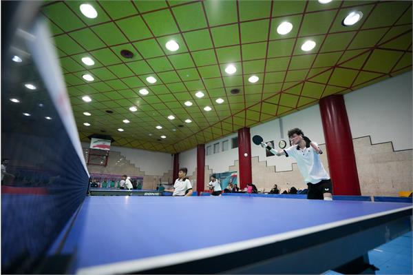 تنیس روی میز  10