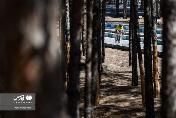 پارادوچرخه  7