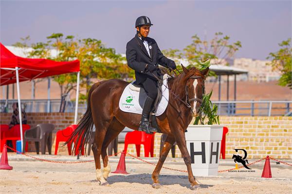 پاراسوارکاری  3