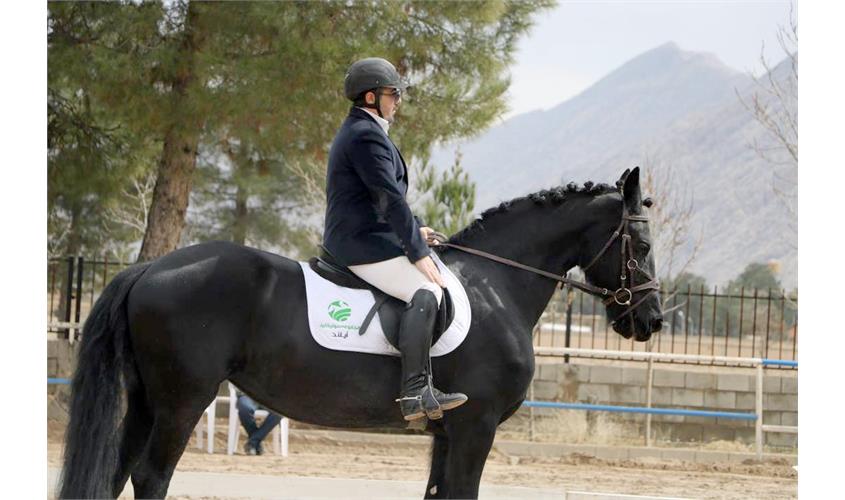 قهرمانی کشور سوارکاری  16