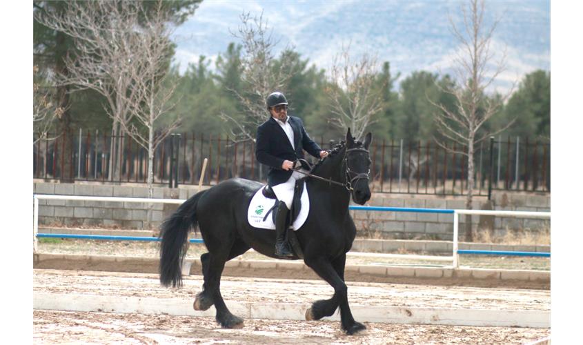 قهرمانی کشور سوارکاری  3