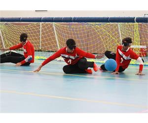 goalbal