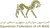 فدراسیون سوارکاری
