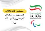 رقابت ۱۷ کاندیدای پارالمپیکی برای شرکت در انتخابات کمیسیون ورزشکاران