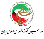 سرپرست فدراسیون تکواندو منصوب شد