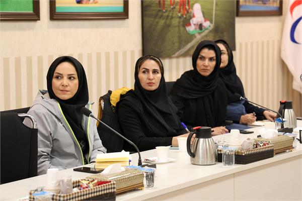 استعداد یابی گزارش  14