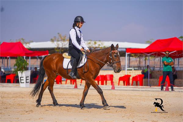 پاراسوارکاری  4