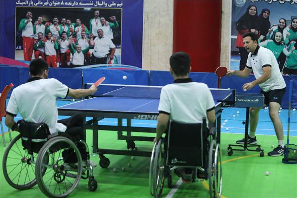 تنیس روی میز  19