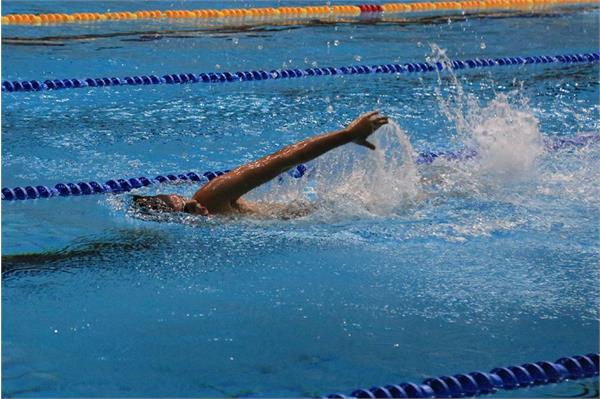 قهرمانی کشور شنا  33