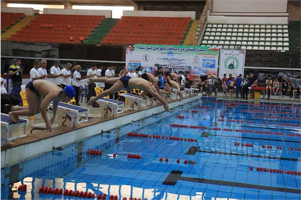 قهرمانی کشور شنا  54