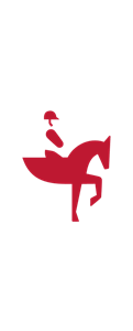 اسب سواری