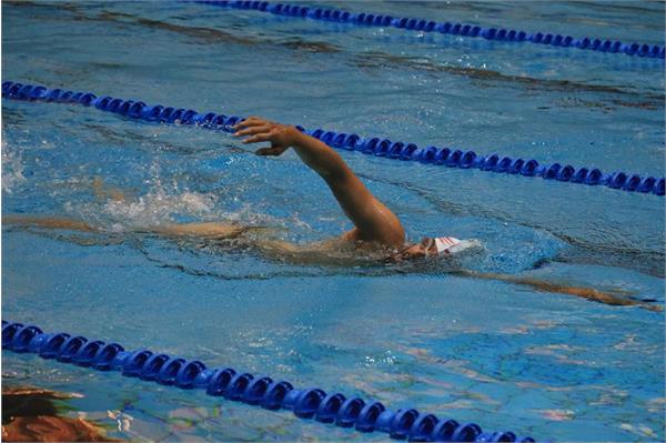 قهرمانی کشور شنا  24