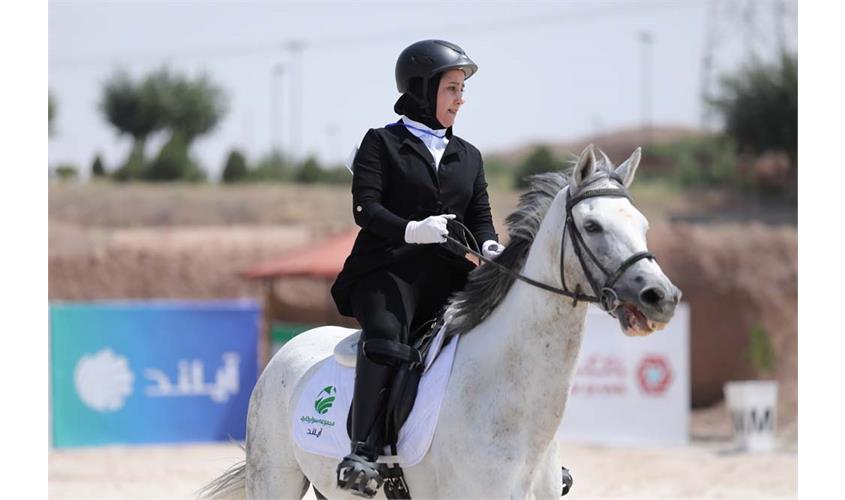 سوار کاری  12