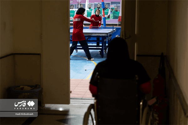 تنیس روی میز  11