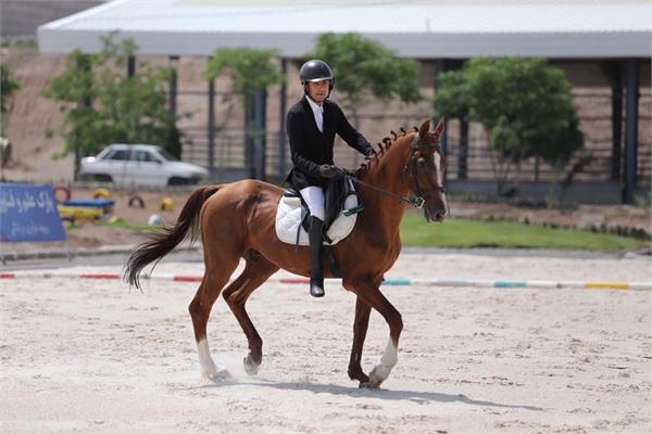 سوار کاری  10