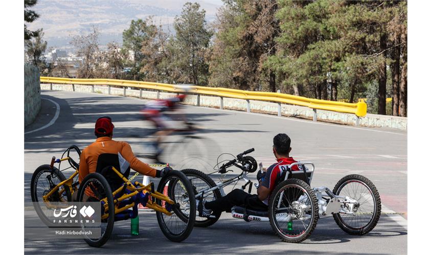 پارادوچرخه  23