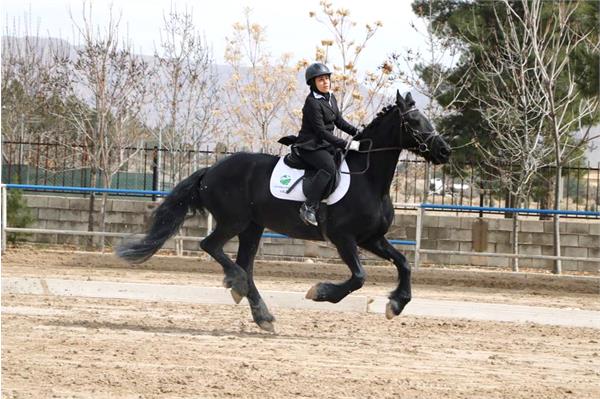 قهرمانی کشور سوارکاری  14