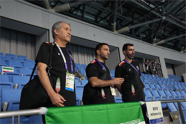 Para Swimming Seyed Ali Saleh 10