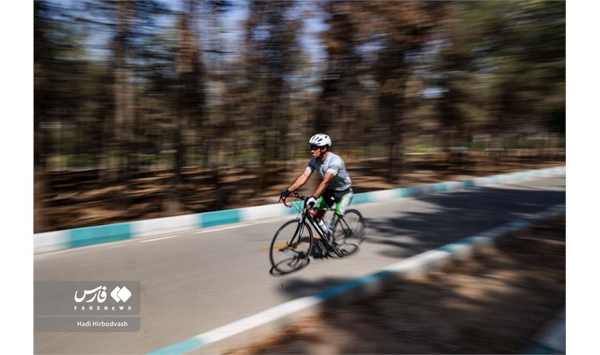 پارادوچرخه  24