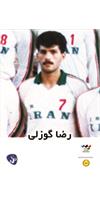 رضا گوزلی