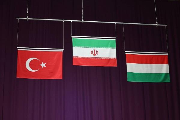 ساره جوانمردی - البوم تصویری 11