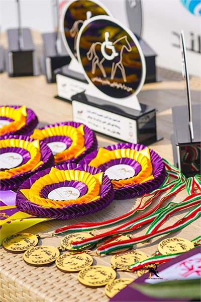 پاراسوارکاری  13