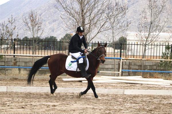 قهرمانی کشور سوارکاری  13