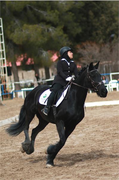 قهرمانی کشور سوارکاری  10