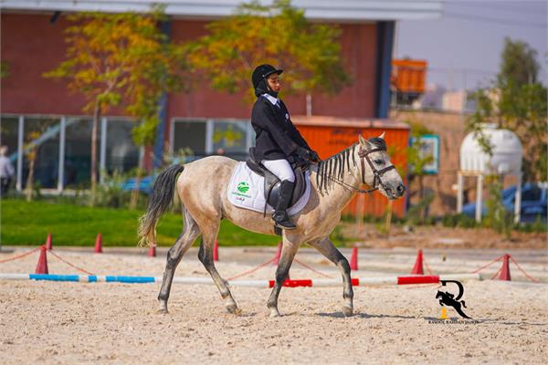 پاراسوارکاری  2