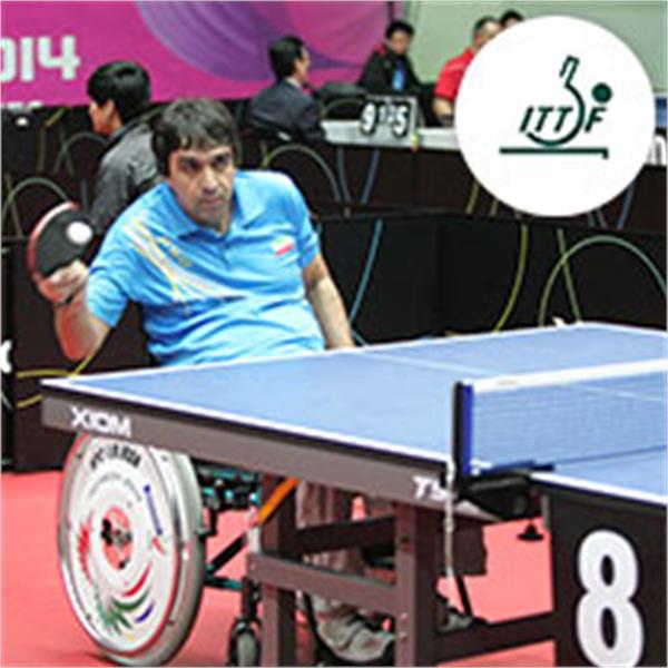 پاراتنیس روی میز