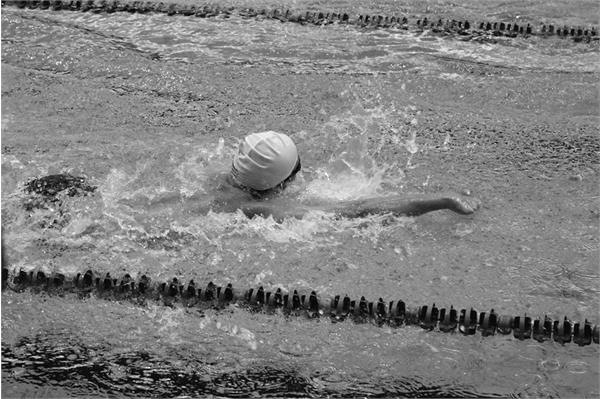 قهرمانی کشور شنا  41