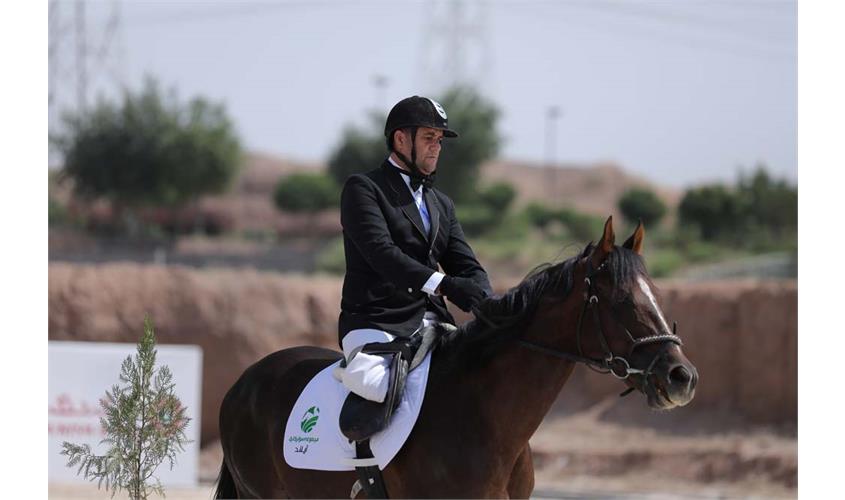 سوار کاری  7