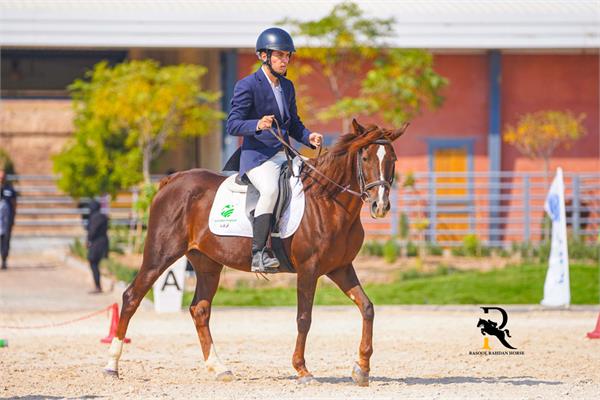 پاراسوارکاری  5